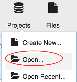 Opening a project