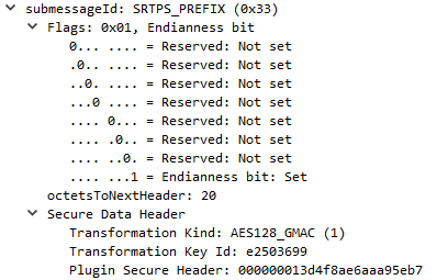 SRTPS_PREFIX Submessage