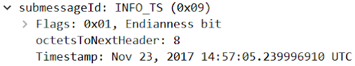 INFO_TS Submessage